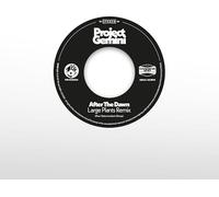 After The Dawn (Large Plants Remix) / Darkness Rising