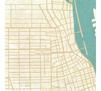 After the Fall Fort Orange (Vinyl LP) 12" Album