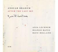 After the Last Sky