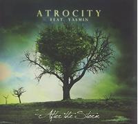After The Storm by Atrocity (2010-09-14)