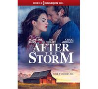 After the Storm (Harlequin)