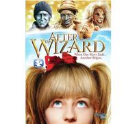 After the Wizard