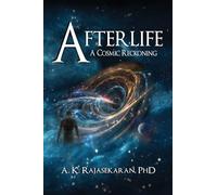 Afterlife: A Cosmic Reckoning