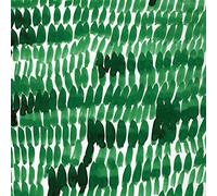 Afterpoem - Faten Kanaan (Audio cd)