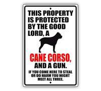Afterprints Cartello in alluminio con scritta in lingua inglese "This Property is Protected by The Good Lord A Cane Corso Dog" (lingua italiana non garantita)