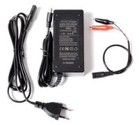 AFTERTECH 12V (14,6V) 4A CARICABATTERIA PER BATTERIE LIFEPO4 LITIO FERRO FOSFATO PILA CARICATORE CHARGER M10A1