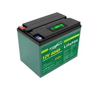 AFTERTECH 12v 60Ah LIFEPO4 PACCO BATTERIA RICARICABILE LITIO FERRO FOSFATO PILA 3000+ CICLI PROFONDI 12,8v 768wh