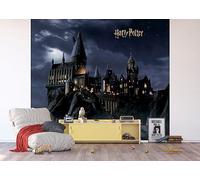 AG Design ADTD4P 7804-412 Carta da parati fotografica in tessuto non tessuto Harry Potter 300 x 270 cm