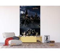 AG Design Carta da parati fotografica in tessuto non tessuto di Harry Potter, 150 x 270 cm, 2 pezzi, AFTD2P 5622-412