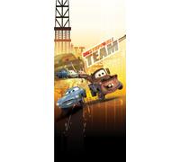 AG Design Carta da Parati Fotografica, Multicolore