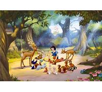 Ag Design FTDNXXL 5014 Photo Wall Mural, Multicolore, 360 x 270