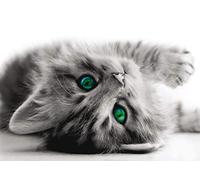 Ag Design FTNM 2605 Photo Wall Mural, Multicolore, 18 x 22