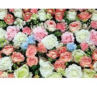 AG Design FTNM 2653 Photo Wall Mural, Multicolore, 160 x 110