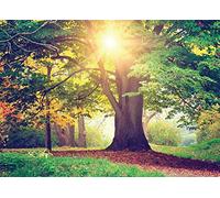 AG Design FTNM 2657 Photo Wall Mural, Multicolore, 180 x 202