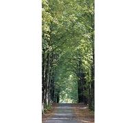 AG Design FTNV 2807 Photo Wall Mural, Multicolore, 9 x 22