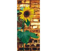 AG Design FTNV 2841 Photo Wall Mural, Multicolore, 90 x 202