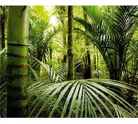 AG Design FTNXXL 0465 Photo Wall Mural, Multicolore, 360 x 270