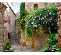 Ag Design FTNXXL 1145 Photo Wall Mural, Multicolore, 36 x 27