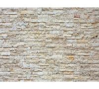 AG Design FTNXXL 2412 Photo Wall Mural, Multicolore, 360 x 270