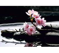 Ag Design FTS 0185 Photo Wall Mural, Multicolore, 36 x 254 cm