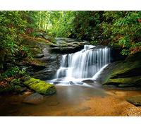 AG Design FTS 0478 Photo Wall Mural, Multicolore, 360 x 254