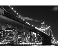 AG Design FTS 1305 Photo Wall Mural, Multicolore, 360 x 254