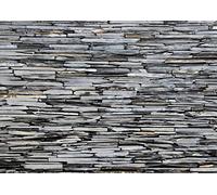 Ag Design FTS 1313 Photo Wall Mural, Multicolore, 36 x 254 cm