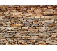 AG Design FTS 1319 Photo Wall Mural, Multicolore, 360 x 254