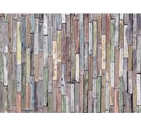 AG Design FTS 1321 Photo Wall Mural, Multicolore, 36 x 254