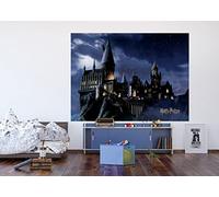 AG Design Harry Potter, carta da parati fotografica per cameretta dei bambini, 252 x 182 cm, 4 pezzi, AFTDXL 1966