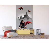 AG Design Harry Potter, carta da parati in tessuto non tessuto, per cameretta dei bambini, 150 x 270 cm, 2 pezzi, AFTD2P 5614