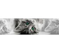 AG Design - Wall Border - Autoadesivo - Gatto - Adesivo - 0,10 x 5 m - WB 8217