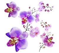 Ag Design - Wall Sticker - Autoadesivo - Orchidee - Adesivo - 30 X 30 Cm, 1 Parte - SS 38