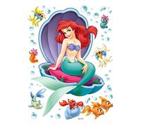 AG Design - Wall Sticker Disney - Autoadesivo - Disney Princesse - Adesivo - 42,5 x 65 cm, 1 Parte - Dk 1755