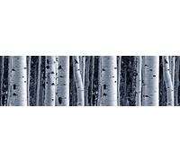 AG Design WB 8207 Wall Border-Autoadesivo, Colorful, 500 x 14 cm