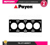 PAYEN AG7930 Guarnizione testata
