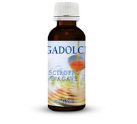 Agave AGADOLCE SCIROPPO AGAVE BIOLOGICO