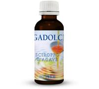 Agave AGADOLCE SCIROPPO AGAVE BIOLOGICO