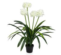 AGAPANTHUS - Piante artificiali Verde / bianco