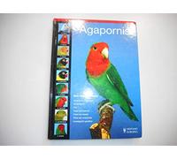 Agapornis / Lovebird