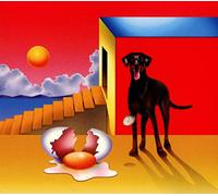 AGAR AGAR - DOG & THE FUTURE