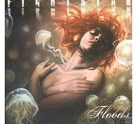 Agatha Raisin, and the Day the Floods Came