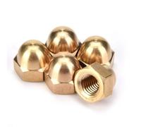 Agatige 5PCS M12 Dado cieco a Calotta, Dado Esagonale in Ottone Kit, Dado Coprente Forma Alta Dadi Coprenti, Dadi Coprenti Esagonali per Bulloni Barra Filettat Conforme alla Norma(M12(5PCS))