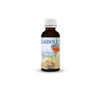 AGAVE AGADOLCE SCIROPPO AGAVE BIOLOGICO 100 ML