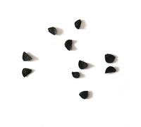 Agave angustiarum SEEDS - - SEMI Agave | Pianta del secolo