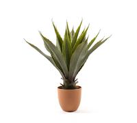 Agave finta in vaso 50 cm verde Verde