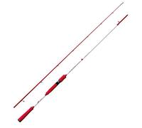 agc Nomura Canna Pesca Eging SW Kanji 240 Seppia cefalopodi