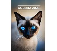 AGENDA 2025 - CHAT: Petit format de poche | 4 langues | Janvier à Décembre 2025 | 52 semaines | 1 semaine sur 2 pages | Format pratique 10x15 cm, 115 pages | Fantaisie, original | Cadeau à offrir