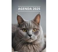 AGENDA 2025 - CHAT: Petit format de poche | 4 langues | Janvier à Décembre 2025 | 52 semaines | 1 semaine sur 2 pages | Format pratique 10x15 cm, 115 pages | Fantaisie, original | Cadeau à offrir