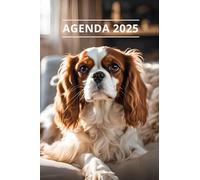 AGENDA 2025 - CHIEN: Petit format de poche | 4 langues | Janvier à Décembre 2025 | 52 semaines | 1 semaine sur 2 pages | Format pratique 10x15 cm, 115 pages | Fantaisie, original | Cadeau à offrir
